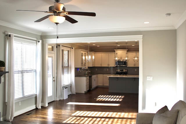 kitchen featuring dark wood-type flooring, stainless steel appliances, decorative light fixtures, and plenty of natural light