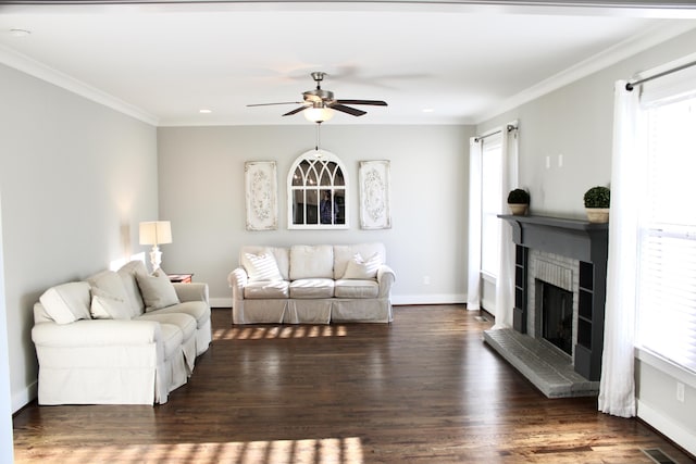 living room with crown molding, ceiling fan, dark hardwood / wood-style floors, and a wealth of natural light