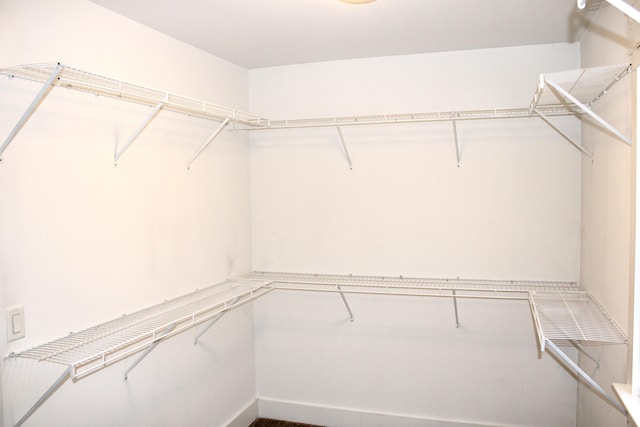 view of spacious closet