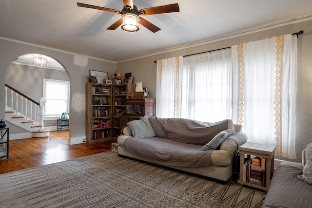 living room featuring wood-type flooring, ceiling fan, and ornamental molding