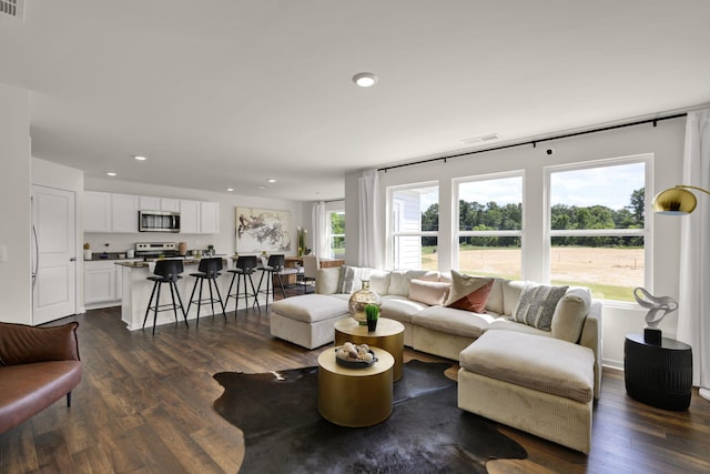 living room with dark hardwood / wood-style flooring