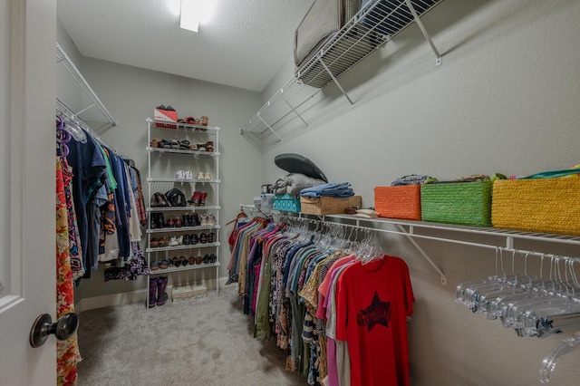 spacious closet featuring carpet floors