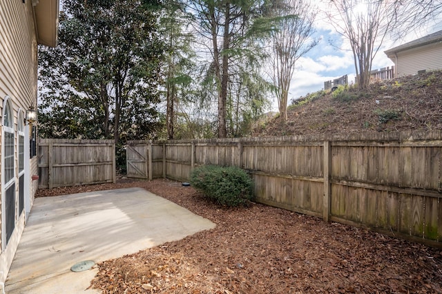 view of yard with a patio area