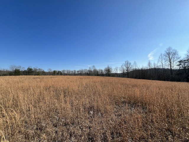 474 Clark Ln, Pikeville TN, 37367 land for sale