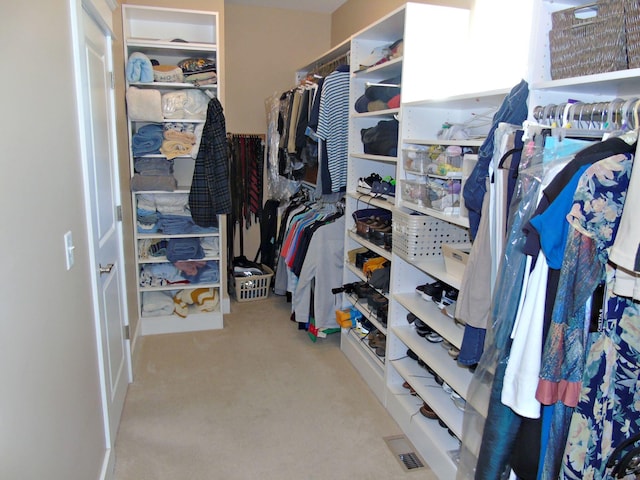 view of spacious closet