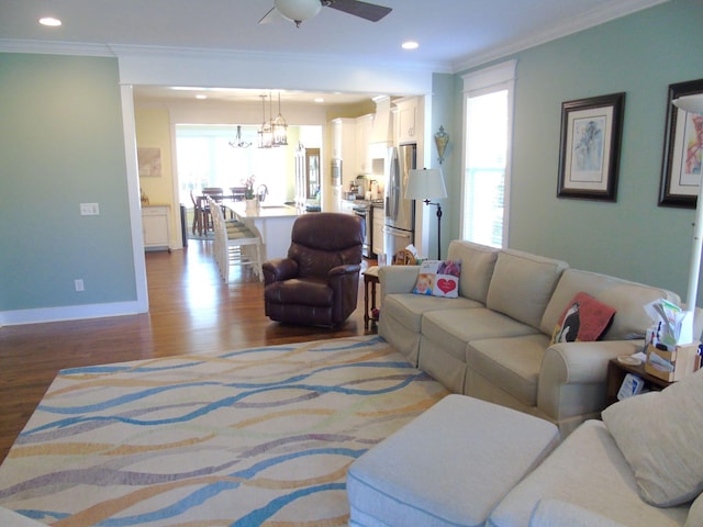 living room with ceiling fan with notable chandelier, plenty of natural light, ornamental molding, and light wood-type flooring