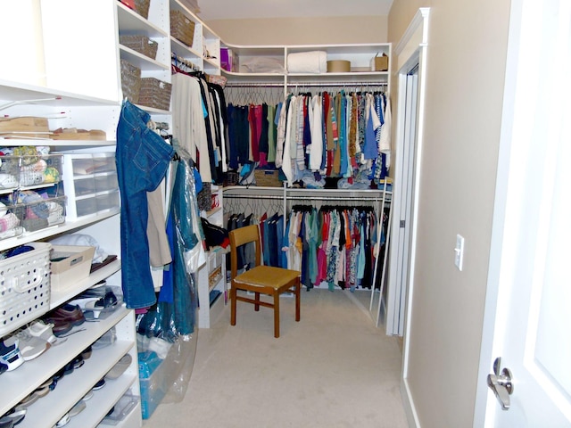 view of spacious closet