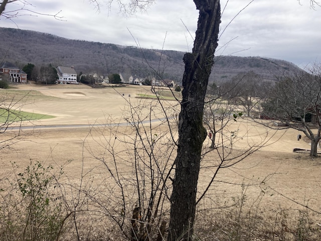 view of mountain feature