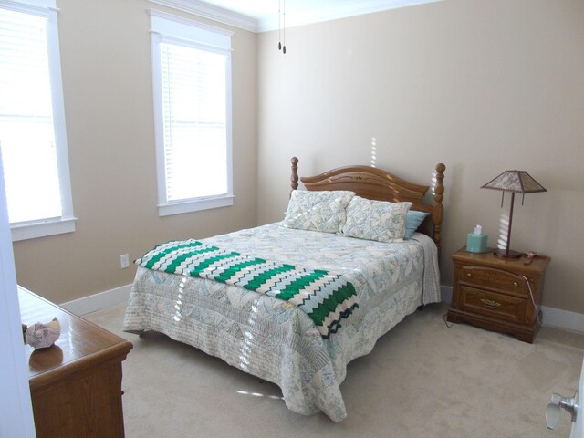 807 Blissfield Ct, Chattanooga, TN 37419 - carpeted bedroom with multiple windows and ornamental molding