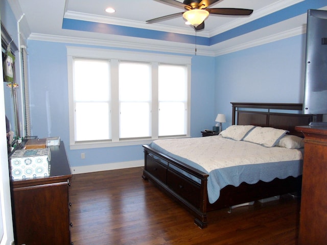 807 Blissfield Ct, Chattanooga, TN 37419 - bedroom with dark wood-style floors, multiple windows, crown molding, a raised ceiling, and a ceiling fan