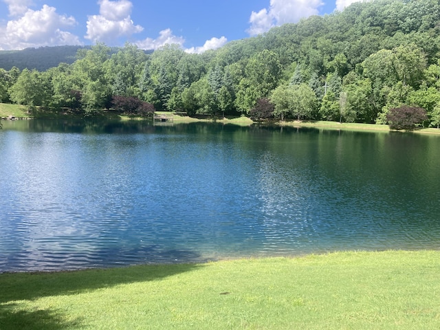807 Blissfield Ct, Chattanooga, TN 37419 - water view featuring a forest