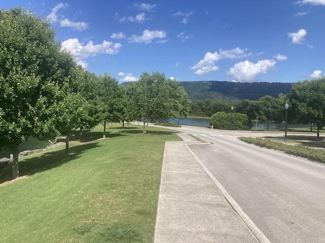 807 Blissfield Ct, Chattanooga, TN 37419 - view of asphalt road with street lights and a water view