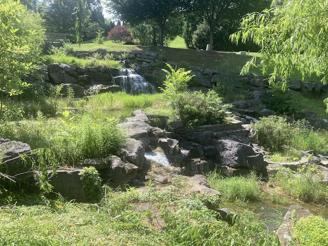 807 Blissfield Ct, Chattanooga, TN 37419 - view of yard
