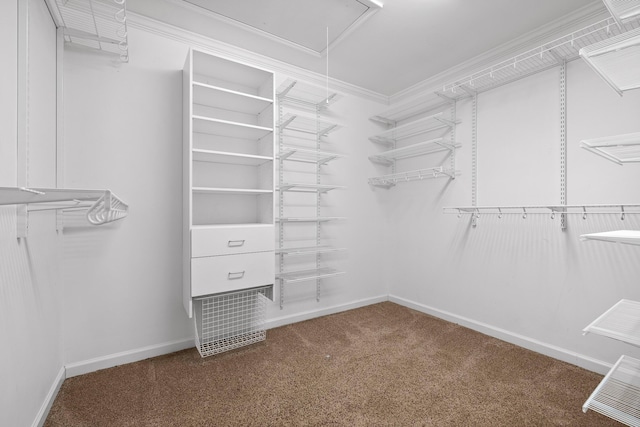 spacious closet with carpet floors