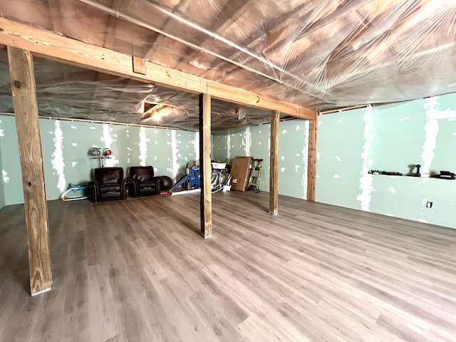 basement with hardwood / wood-style floors