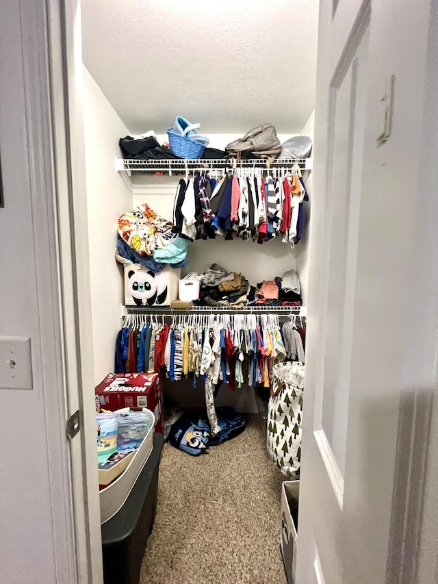 spacious closet with carpet floors