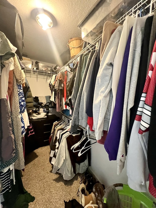 walk in closet featuring carpet floors