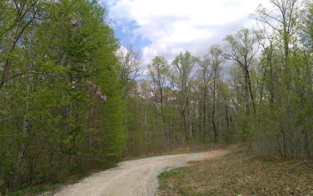 LOT10 Green Forest Rd, Dunlap TN, 37327 land for sale