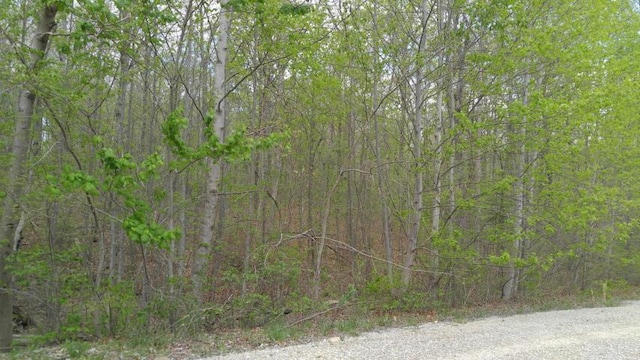 Listing photo 3 for LOT10 Green Forest Rd, Dunlap TN 37327