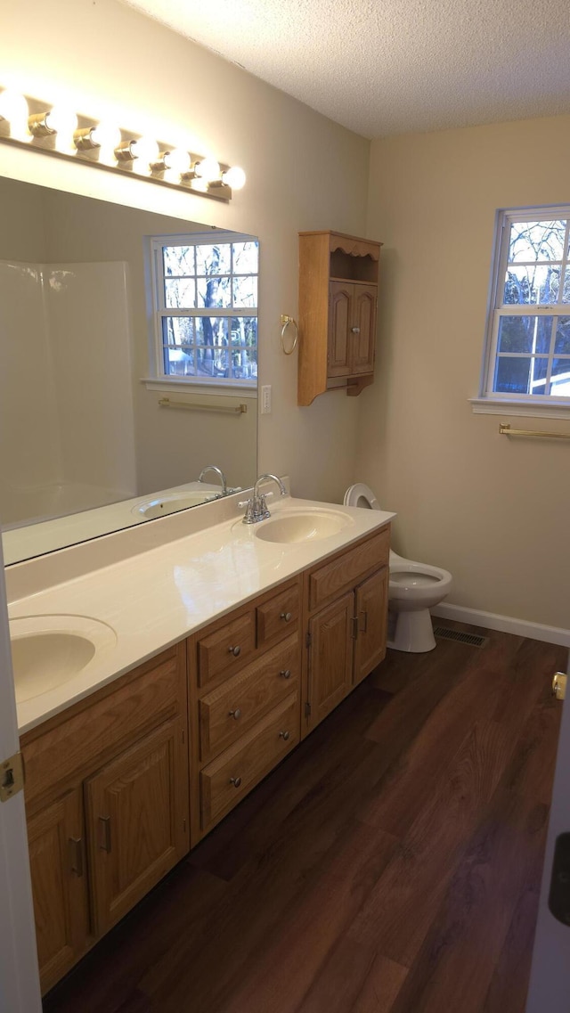 bathroom featuring wood-type flooring, vanity, a textured ceiling, and plenty of natural light