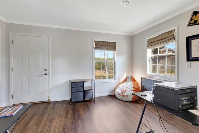 office space with crown molding and dark wood-type flooring