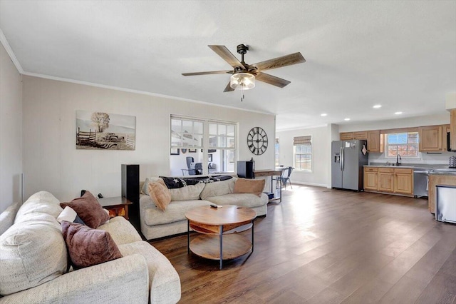 living room featuring crown molding, ceiling fan, and dark hardwood / wood-style flooring