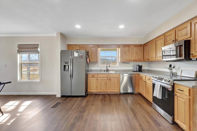 kitchen featuring sink, dark wood-type flooring, a healthy amount of sunlight, and appliances with stainless steel finishes