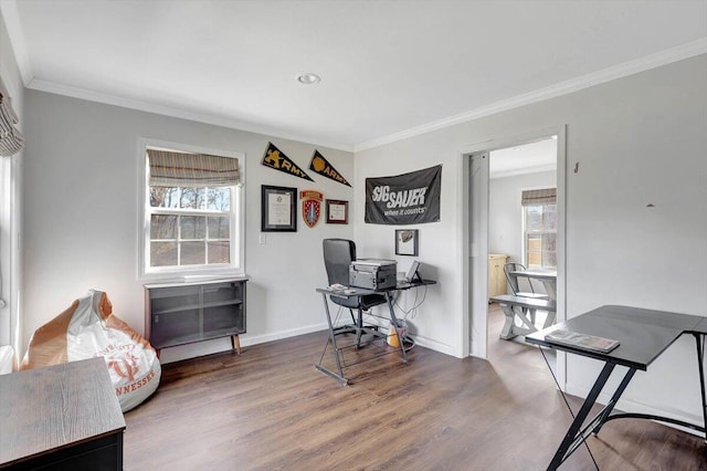 office with hardwood / wood-style flooring and ornamental molding