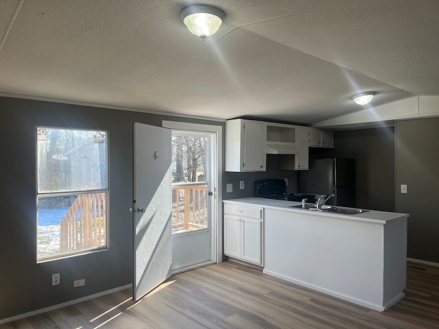 kitchen with white cabinets, black fridge, plenty of natural light, and sink