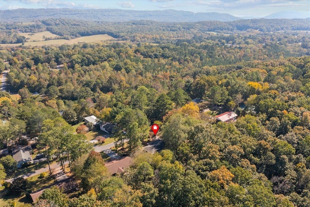 birds eye view of property featuring a mountain view