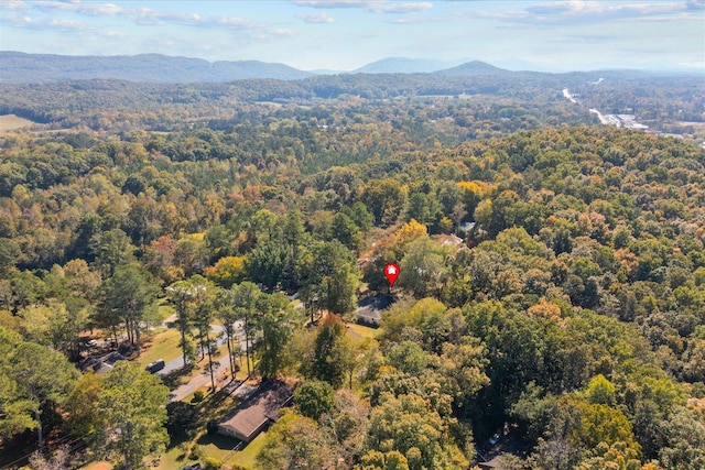 drone / aerial view featuring a mountain view