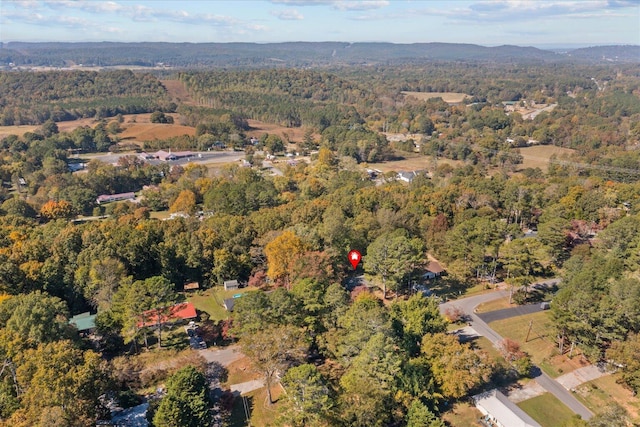 aerial view