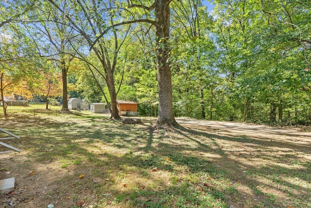 view of yard with a storage unit