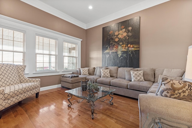 living room with crown molding and wood-type flooring