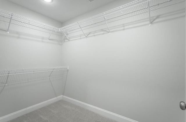 walk in closet with carpet floors