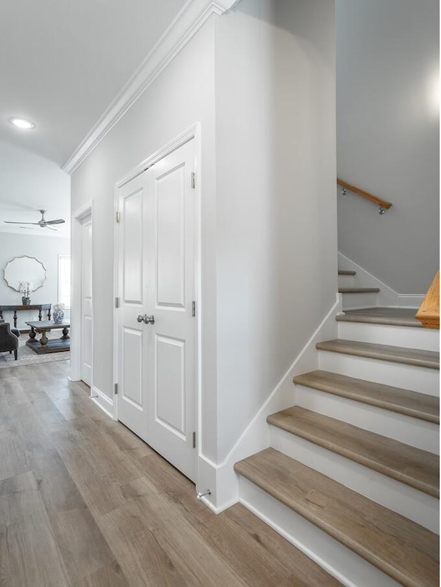 stairway featuring ceiling fan, wood-type flooring, and ornamental molding