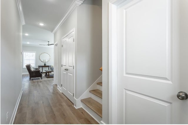 corridor featuring hardwood / wood-style flooring and crown molding