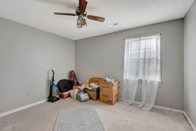 miscellaneous room with a textured ceiling, light colored carpet, and a healthy amount of sunlight