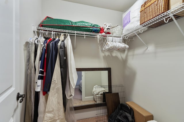 spacious closet with carpet floors