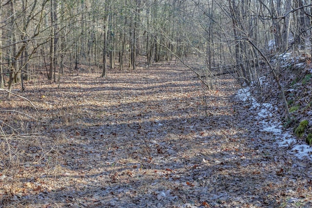 Listing photo 3 for 14.9AC Percheron Dr, Dalton GA 30720