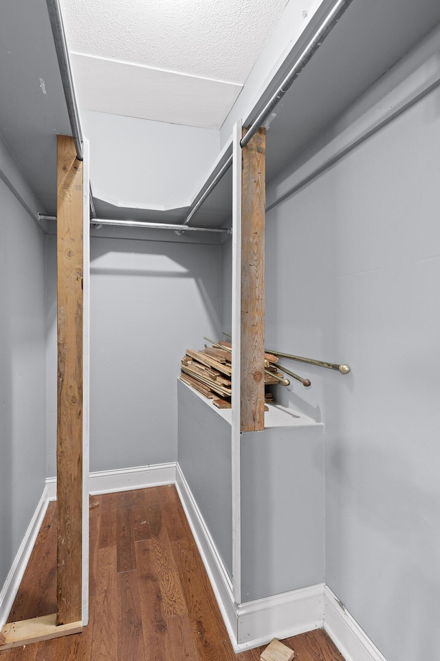 walk in closet with wood-type flooring