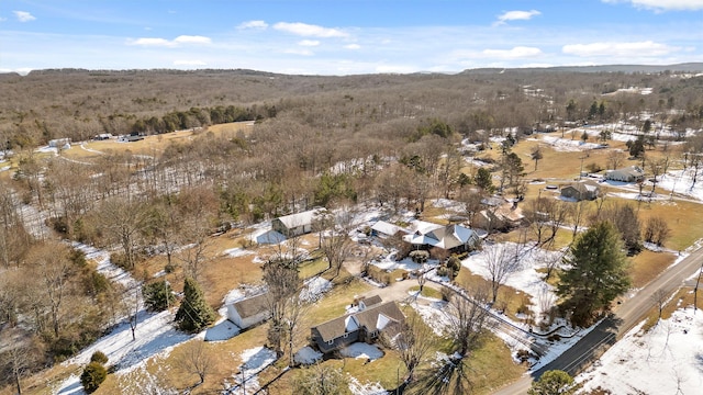 view of snowy aerial view