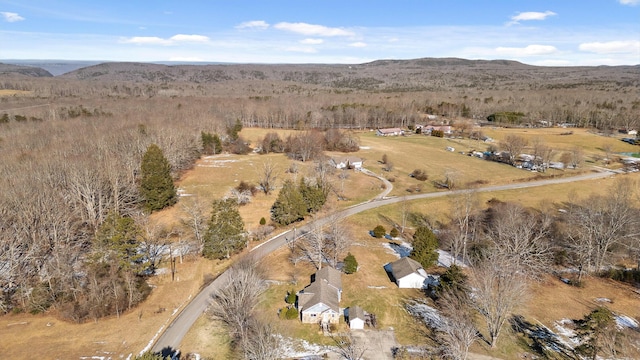 birds eye view of property featuring a mountain view