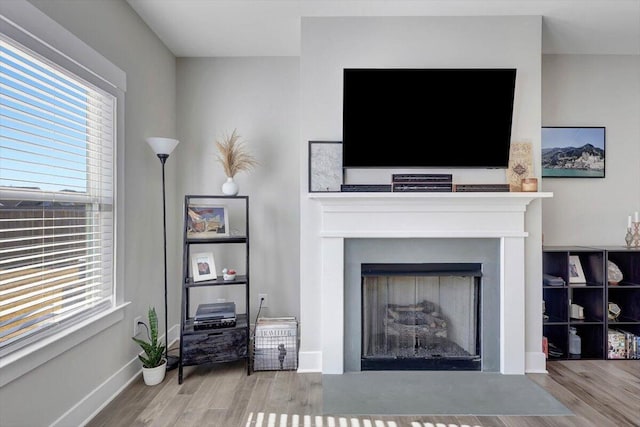 living room featuring light wood-type flooring