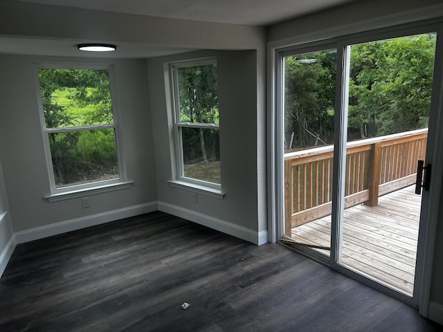 doorway to outside featuring dark wood-type flooring and plenty of natural light