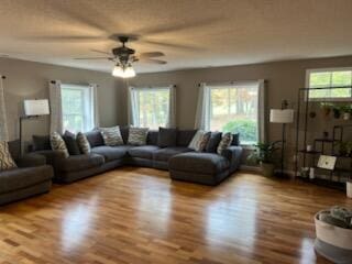 living room with ceiling fan and wood-type flooring