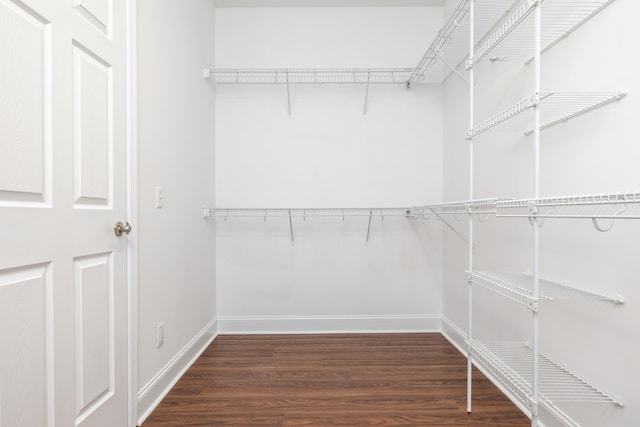 spacious closet with dark hardwood / wood-style flooring