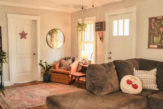 living room with ornamental molding and wood-type flooring