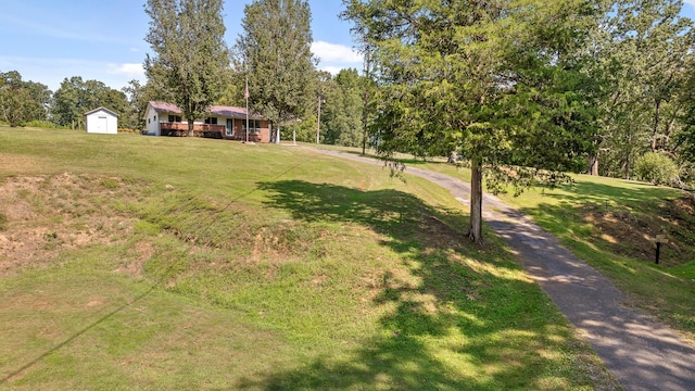 view of yard with a shed