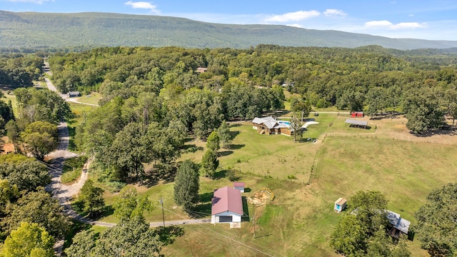 birds eye view of property featuring a mountain view